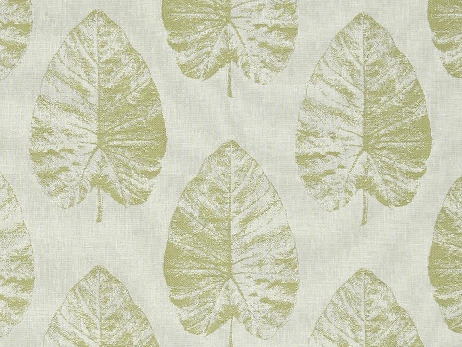 Laurie Fern Fabric